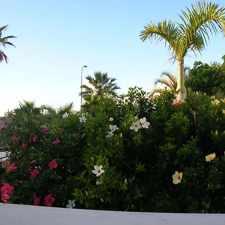 شقة Parque Don Jose 341