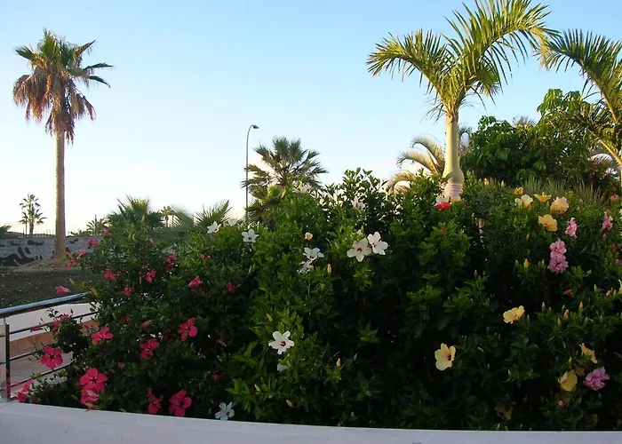 شقة Parque Don Jose 341